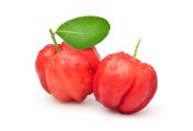 Foto Acerola Foto Acerola