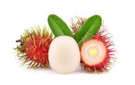 Foto Rambutão Foto Rambutão